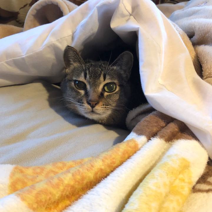 E489a6c5 d216 4811 8eb7 17f20257d09f 1639463519204