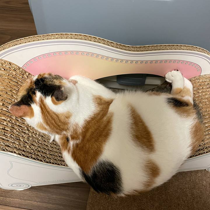 E489cbf8 5cf2 47b8 8fb9 826510fcdbe2 1632749585862