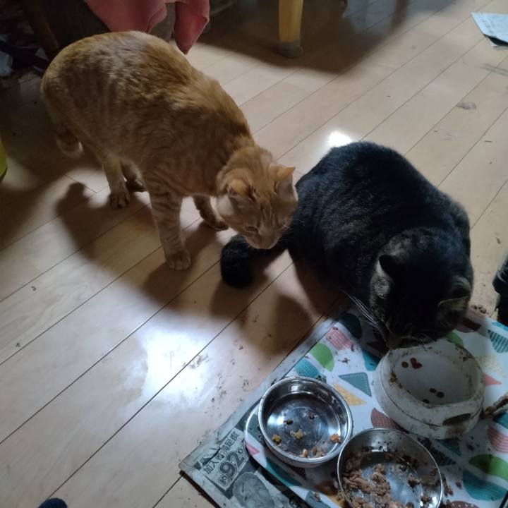 E489ce64 b3f6 4192 a62e f05996013a4c 1667814111935