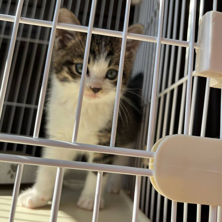 E489e85b 40da 4bf6 b1f6 4091c110e577 1764384245403