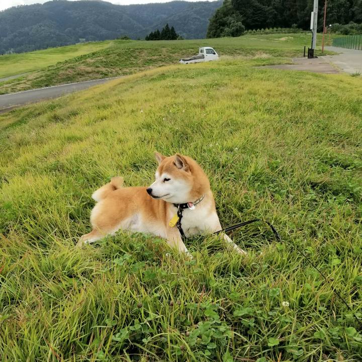 E48a1279 a216 4a61 a7c8 ddf2510561a5 1601362451200