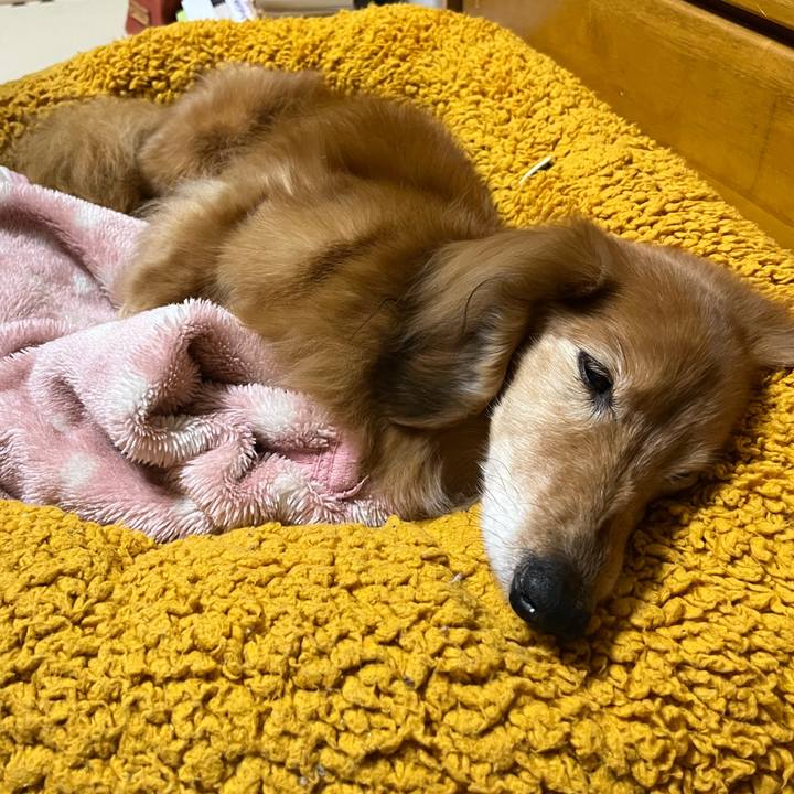 E48a2bce 0adb 4a0c 8556 a242c4082a18 1680527816504