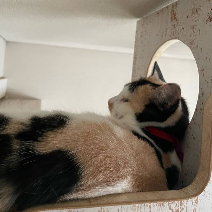 E48a41b7 ad69 47f3 ab17 673a7b40fd95 1719209197681