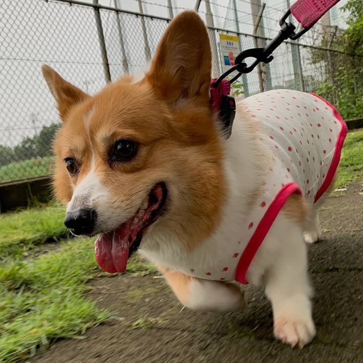 E48a48d4 7c13 4dae 9f5b 83898897a316 1595108532787