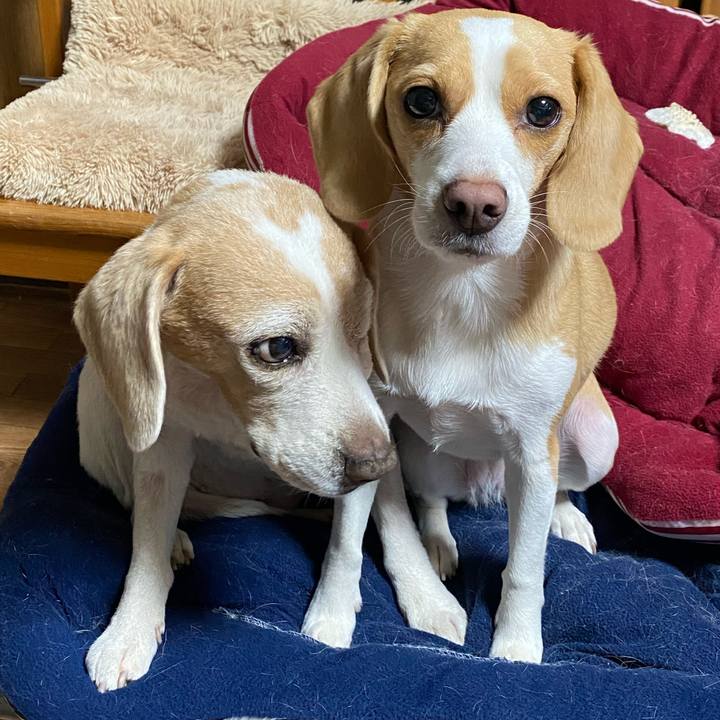 E48a7cb5 c713 45fc 9b5f 2600ee71521e 1584955500203