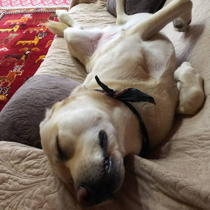 E48a98e5 9e3d 4273 b87a 1a72cd2d5a73 1579062225544