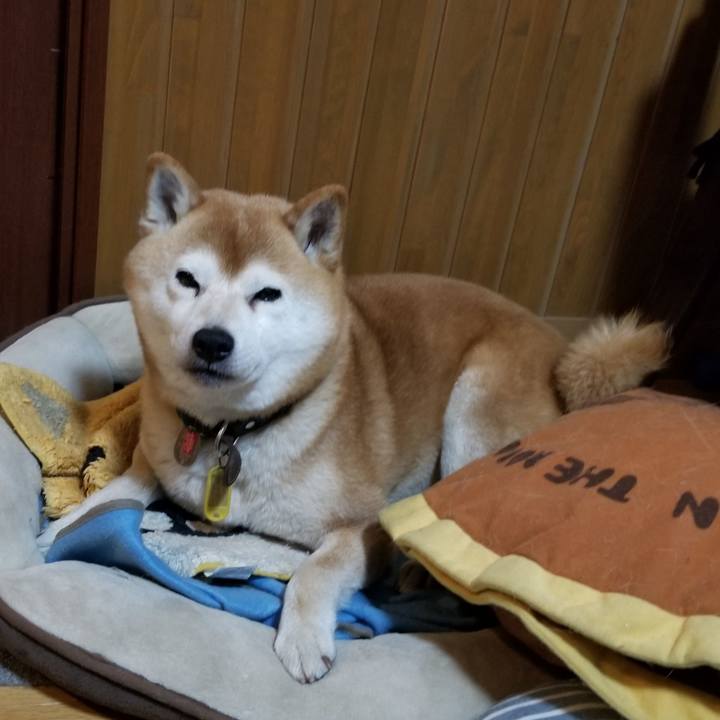 E48aa0e0 e602 4239 875e 509b20477fd4 1617534739440