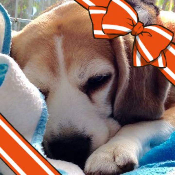 E48acc11 d097 4282 b4a6 f8cea450f1ea 1739493489057