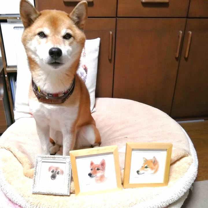 E48aeed7 b222 415c a37e 4ca698b28286 1666693340228