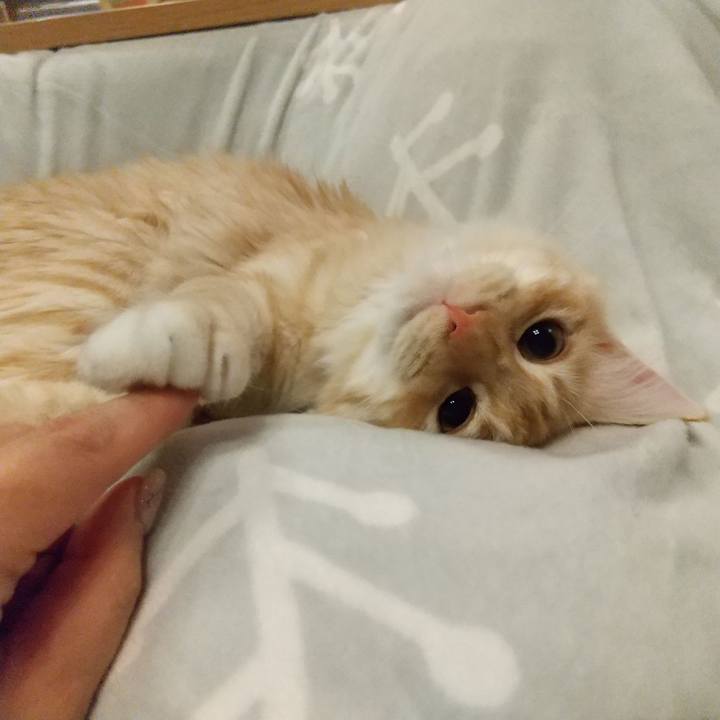 E48b2d46 9ea6 4a6b bd70 6f48cb631bdb 1618579797130