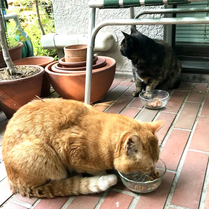 E48b4ef3 ea24 47bc b57c 52702436f467 1619926927013