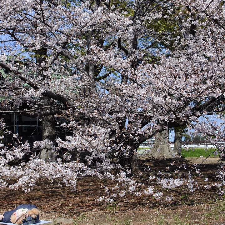 E48b66c7 5a8d 4ee9 8e81 d9ca641457c3 1775249793055