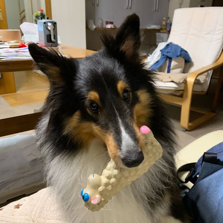 E48bb86d df59 4a5d a213 7018b83e1255 1564000898688