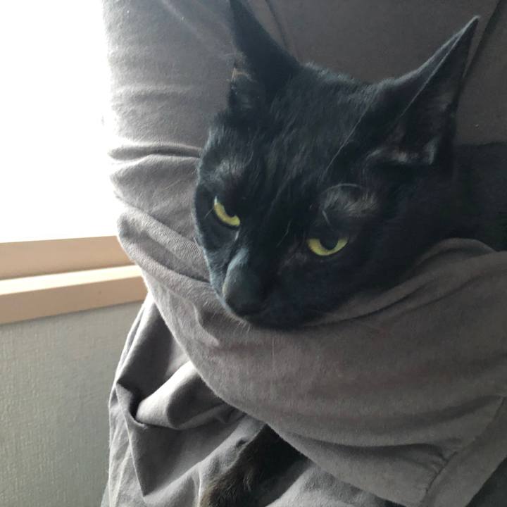 E48bdc14 98e9 4ce4 bdc9 5abbb4ffbc95 1680210097409