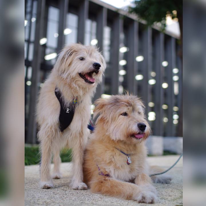 E48bddc0 1231 4de1 acc1 e33f411b287e 1633917099766