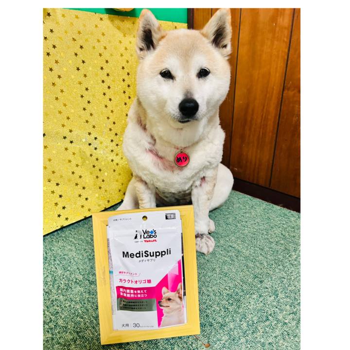 E48c1aea e1d4 4efa bfa2 2e287c0584af 1743066086218