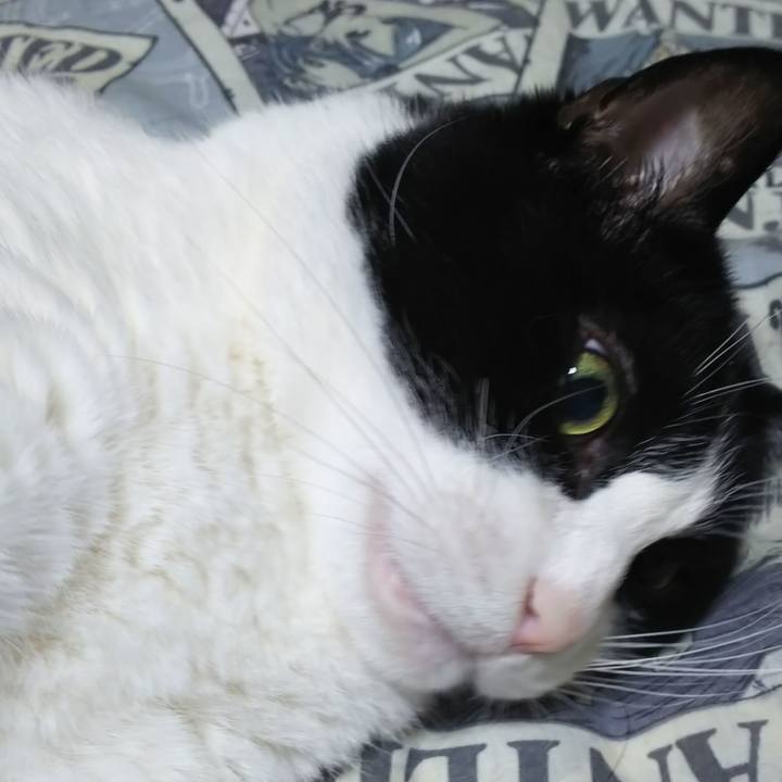 E48c4638 077d 4dcd bf12 1b8e2c7ef11d 1592215686786