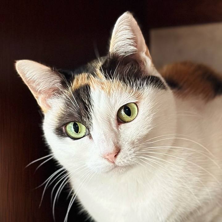 E48c6b21 ed93 4242 9b4b 408dcd27173e 1698715190360