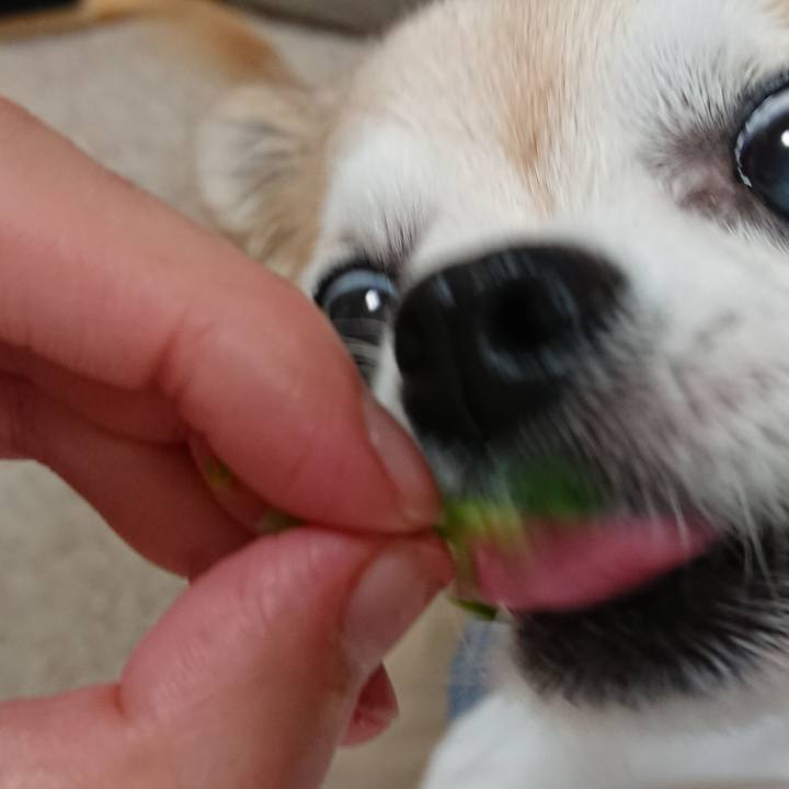 E48c7d4a 9b36 4db8 869b 2c8c7462b65a 1540036435460