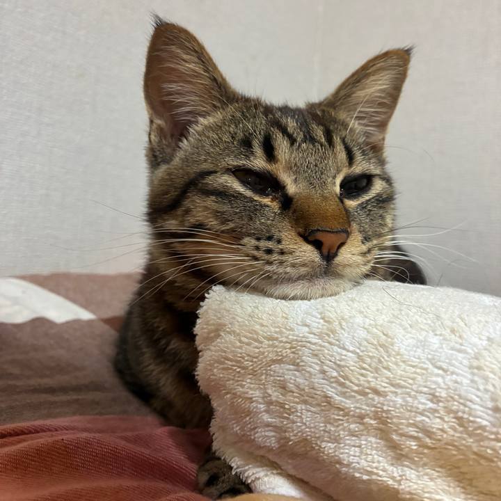 E48ca737 b806 4c92 971d c7109b06b464 1753705173737