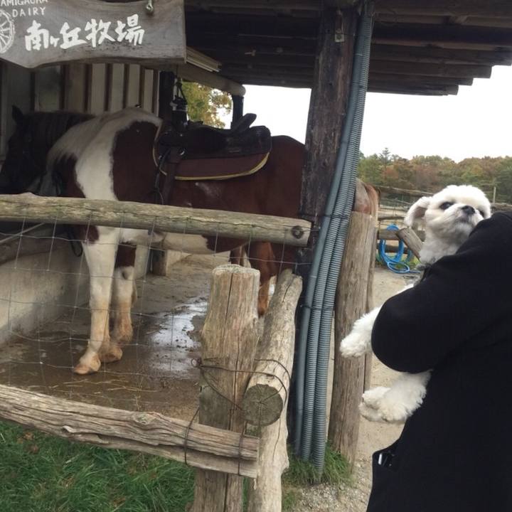 E48ca788 0ca7 45a3 a8c7 3440d7924c70 1510227023038