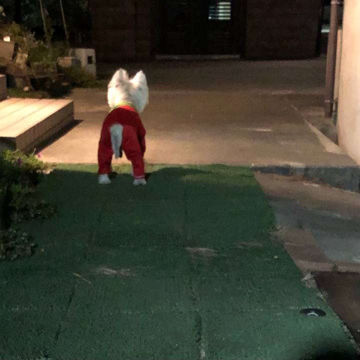 E48cbf44 f84a 4932 b6ca 1a857fbd244a 1666243937540