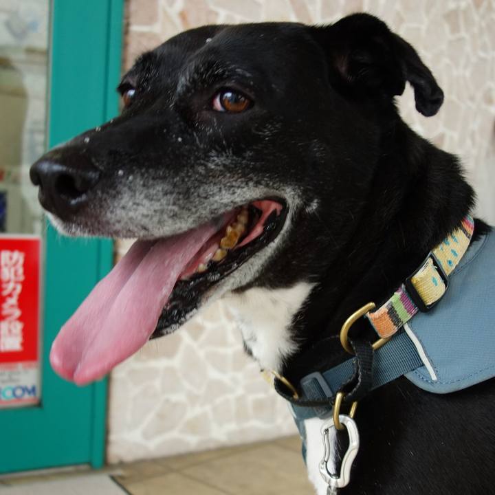 E48cc614 f428 4dc5 865b eb95525aedd8 1729852538408