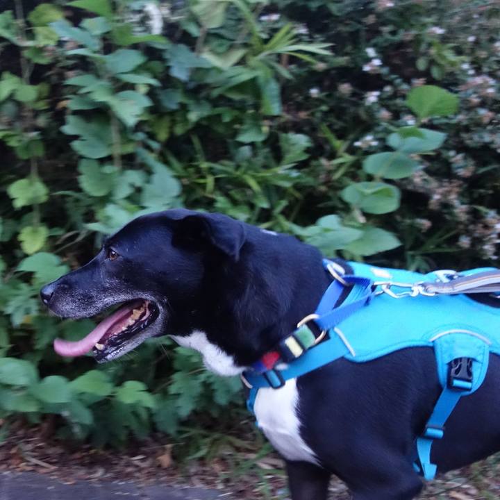 E48d4d55 49bd 4232 a1dd d50160217956 1690454475482