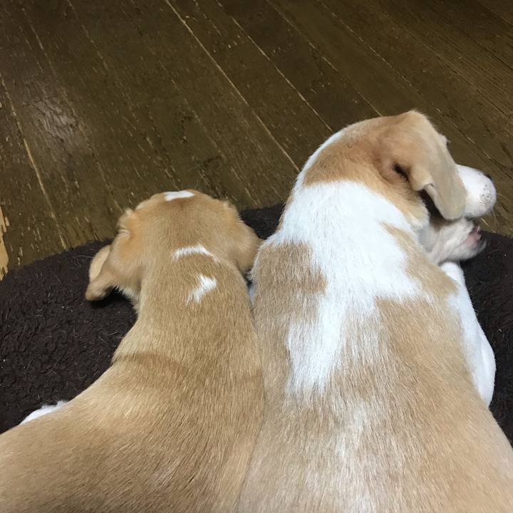 E48d71df e3bc 4fbf 9407 97ec6d789faf 1544187216649