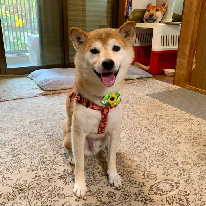 E48d8354 89e6 4857 9673 7771ce11d55a 1627900490951