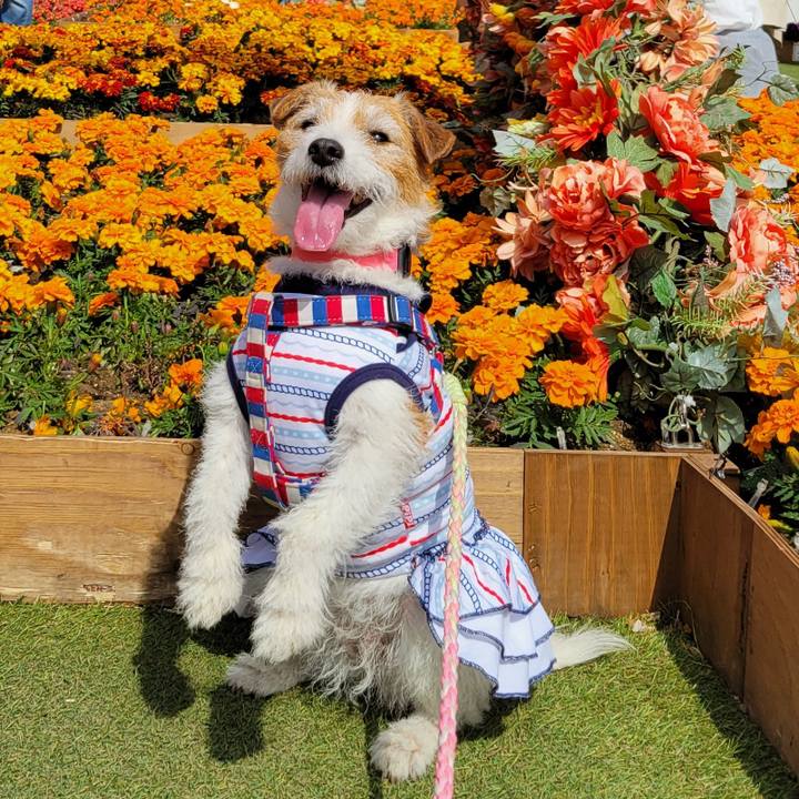 E48dbb8d c4d9 4e7c 8817 120e3fe8319a 1758603460715