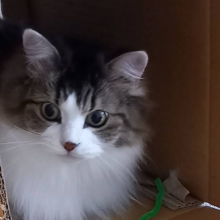 E48dbd28 060b 4324 9dc0 994bc694ec75 1639175227221