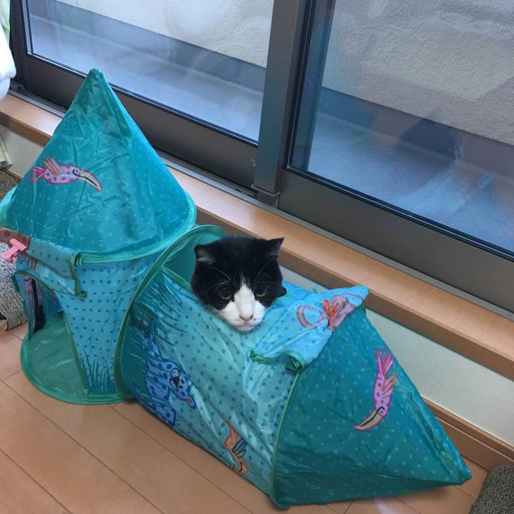 E48dc799 b11c 491d bcda 7699eb167bce 1569225891975