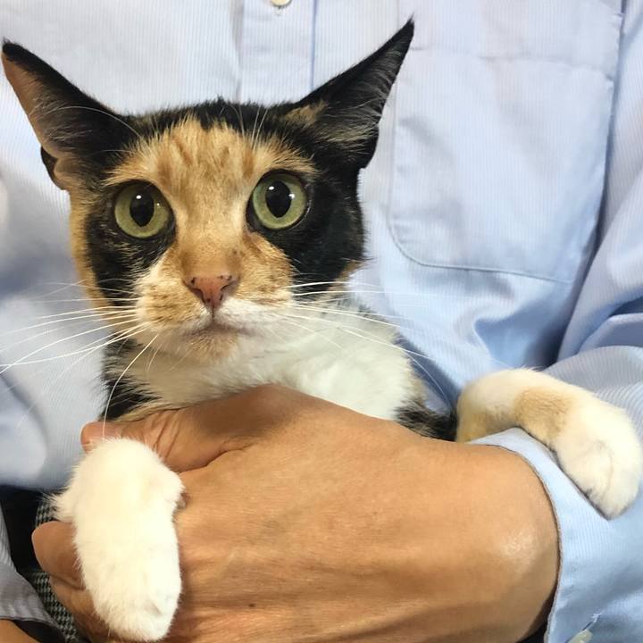 E48dced0 2715 4b71 981e b3b485240066 1584400148303