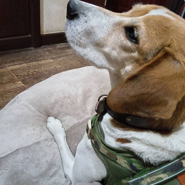 E48def3a 986f 4c98 a917 cf0c65639fca 1734593664282