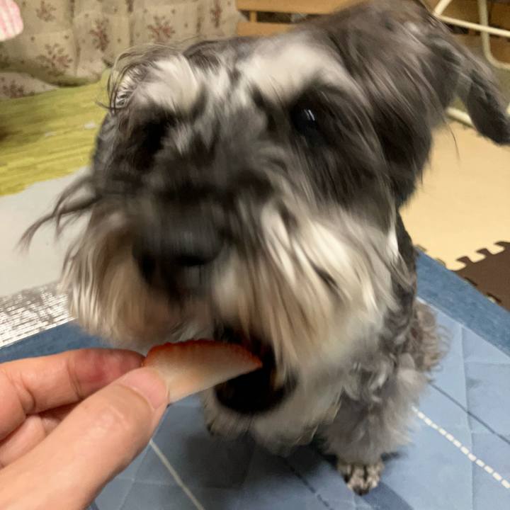 E48e1ea5 5aa0 4164 9174 efd43f8bb2bc 1748097227753