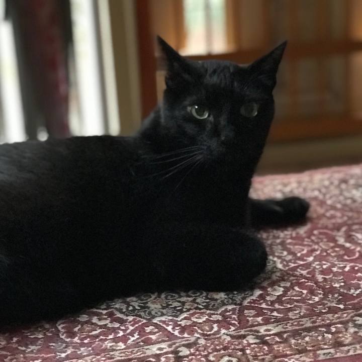 E48e332d d88a 48e2 a8a5 05d6cc99ffc6 1532825473198