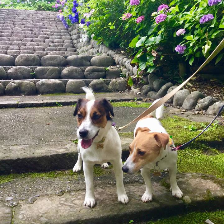 E48e70ff 1de5 431e a5fe cb8866aa4301 1541242700245