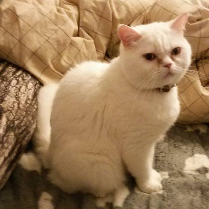 E48eb02f 954b 409d 945a 987e785f25c6 1527858490835