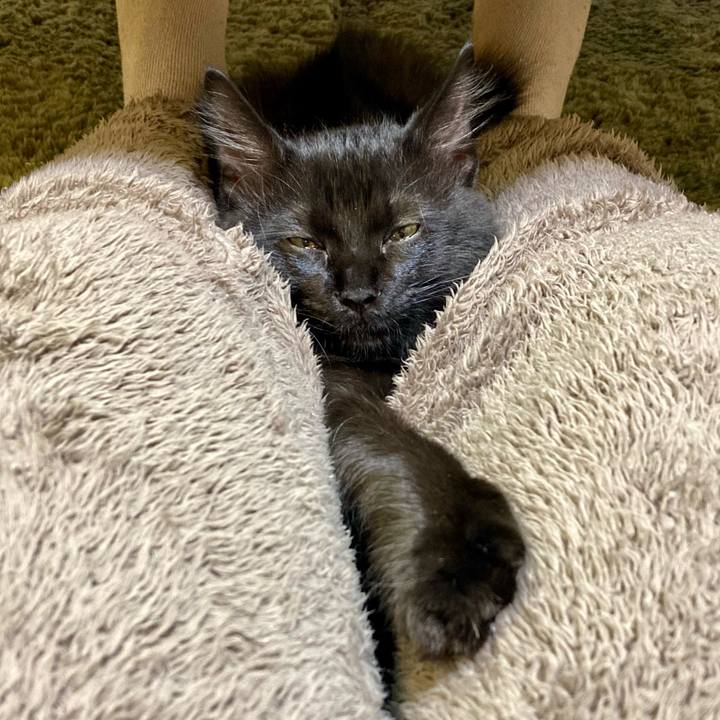 E48ee492 4b12 4a92 89dc bb2c418b212b 1705316349366