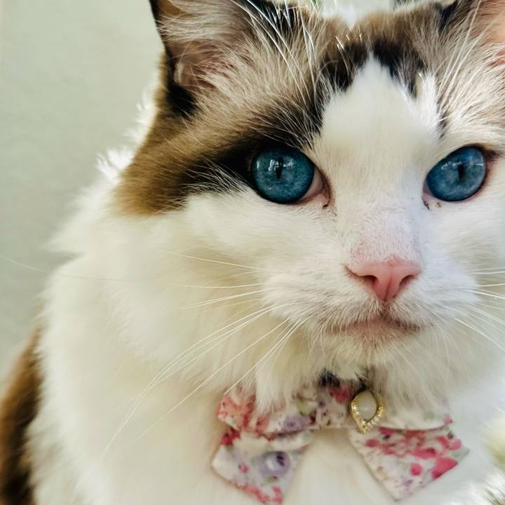 E48f912f a0a2 4e32 9087 a4879e28239c 1764467831751