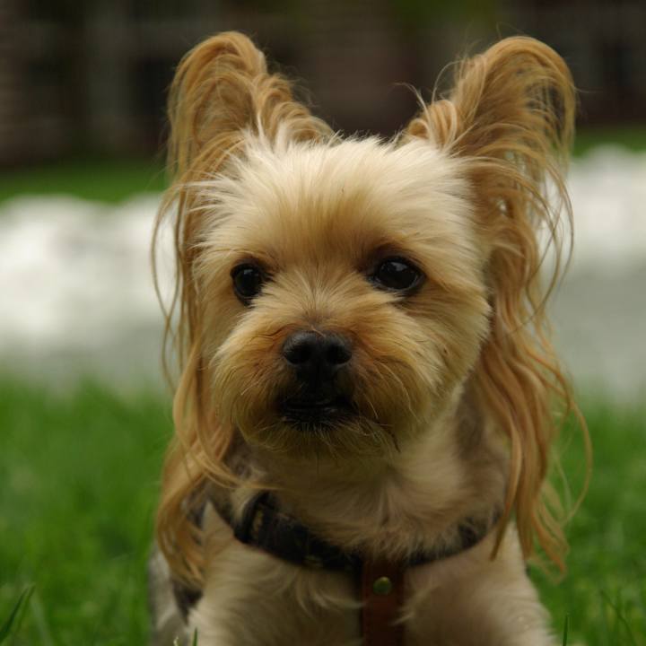 E48fa25e 8940 4269 9538 d2b627c8e1e1 1537083767274