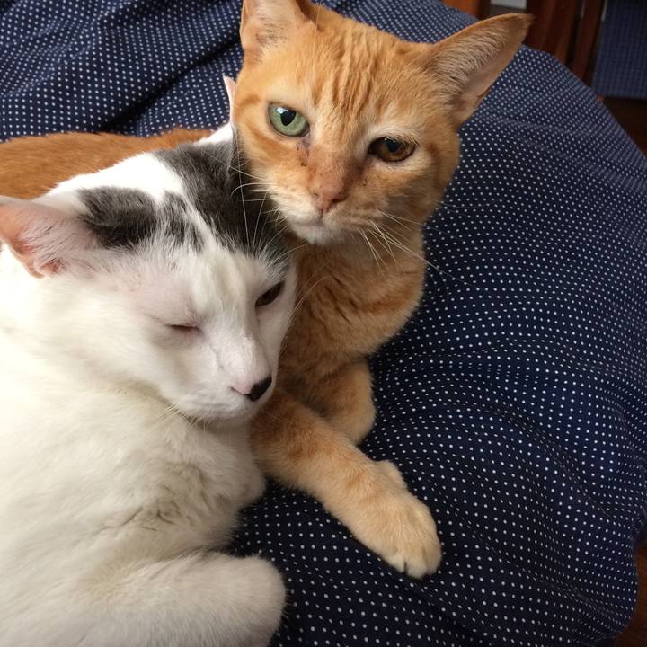 E48fa5c3 3c78 422b b3ec 6336939ee0e8 1526322095789