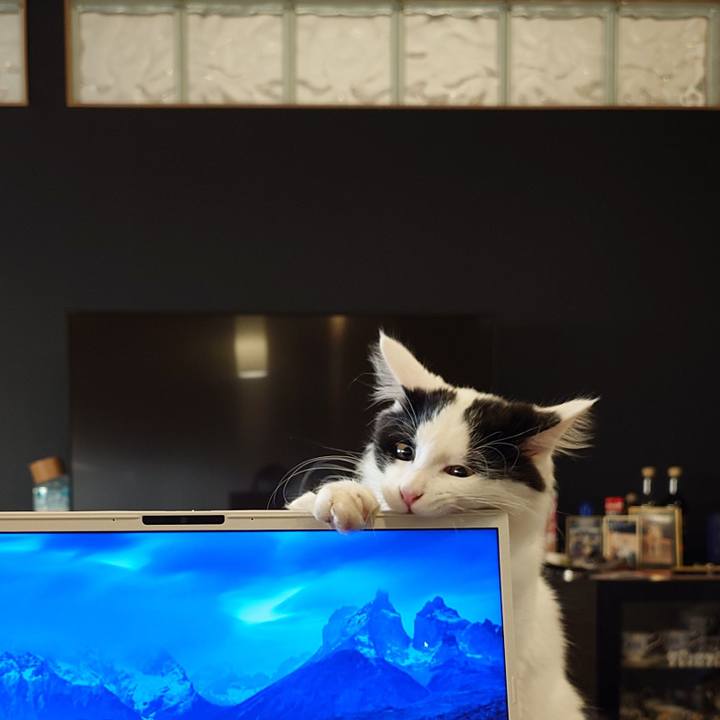 E48fb437 8dd5 4a6d 91e0 98e90f2c7503 1765259935367