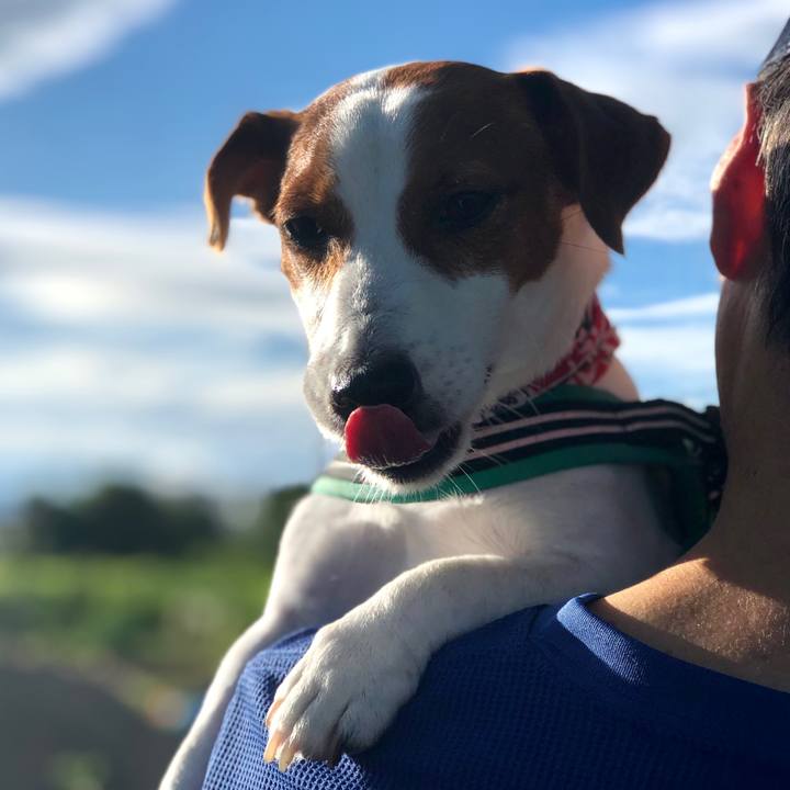 E48fcac3 2345 4b57 a79c 808d215f1d48 1597999961963