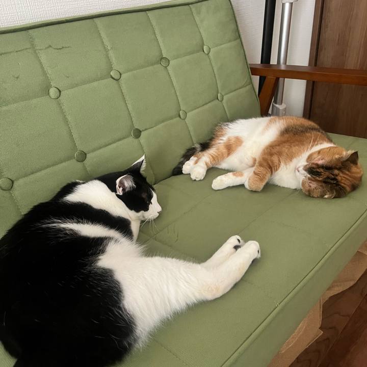 E48fd475 7a7f 4767 aa95 e92119f4e667 1695705820773