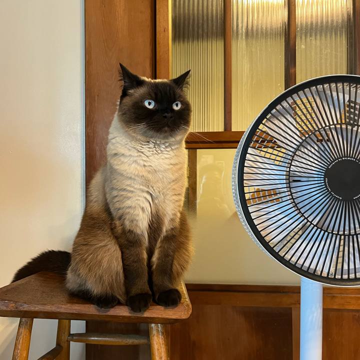 E48fdeb0 46c2 4a8d b671 41e47000e1af 1654934735902