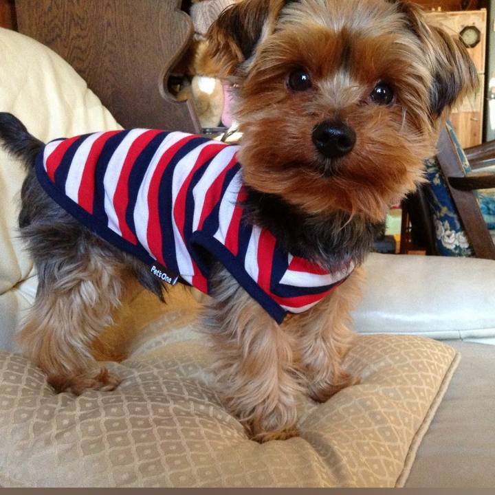 E48fe607 08c3 4c78 9a82 ee7cf94f8809 1722773313559