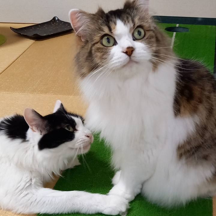 E48fef51 77ac 490f 9928 25984ccbbaf0 1629504305222