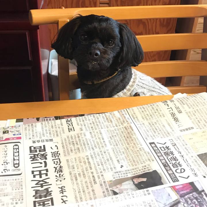 E4900bbe 2712 4205 b1ff e114492f2abd 1543807594580